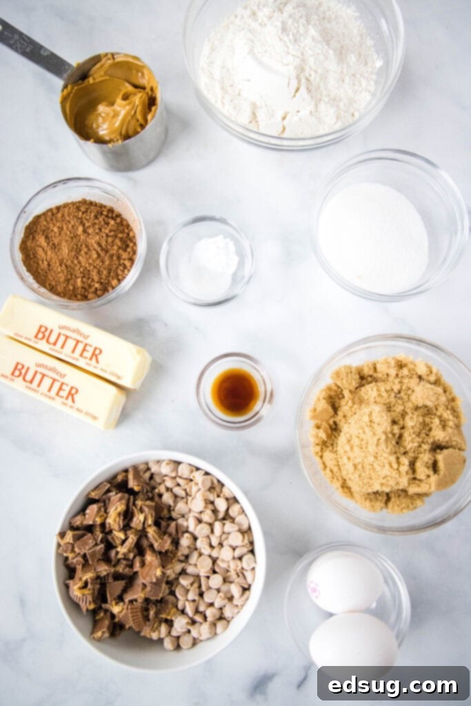 A selection of ingredients for chocolate peanut butter cookies, neatly arranged on a counter, including butter, sugars, eggs, flour, cocoa powder, peanut butter chips, and mini peanut butter cups.