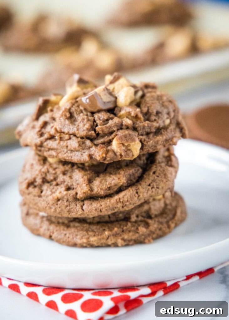A stack of five perfectly baked chocolate and peanut butter cookies on a white plate, showcasing their inviting texture and rich color.