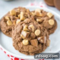 Chocolate Peanut Butter Cookies on a white plate, showcasing their rich color and delicious toppings.