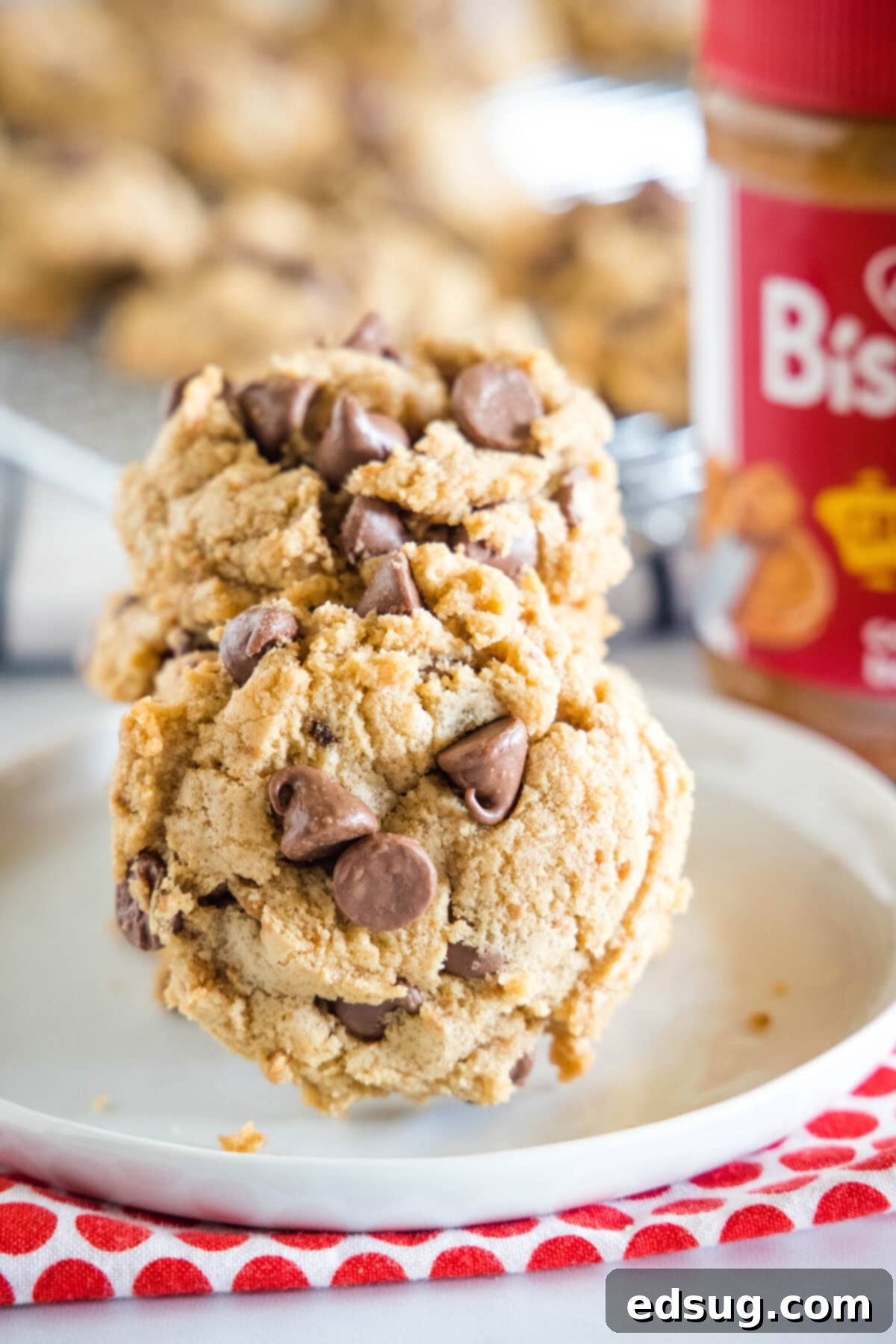 biscoff chocolate chip cookies on white plate, perfectly golden brown and soft