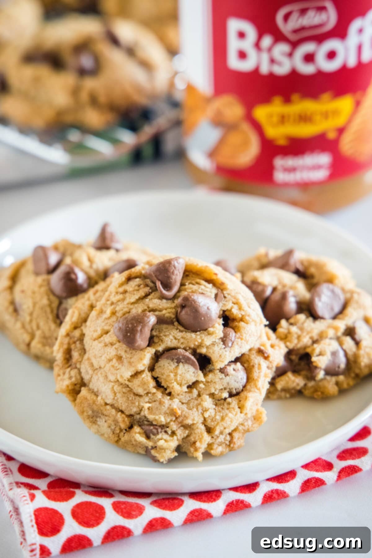freshly baked biscoff chocolate chip cookies on a white plate, showcasing their soft texture