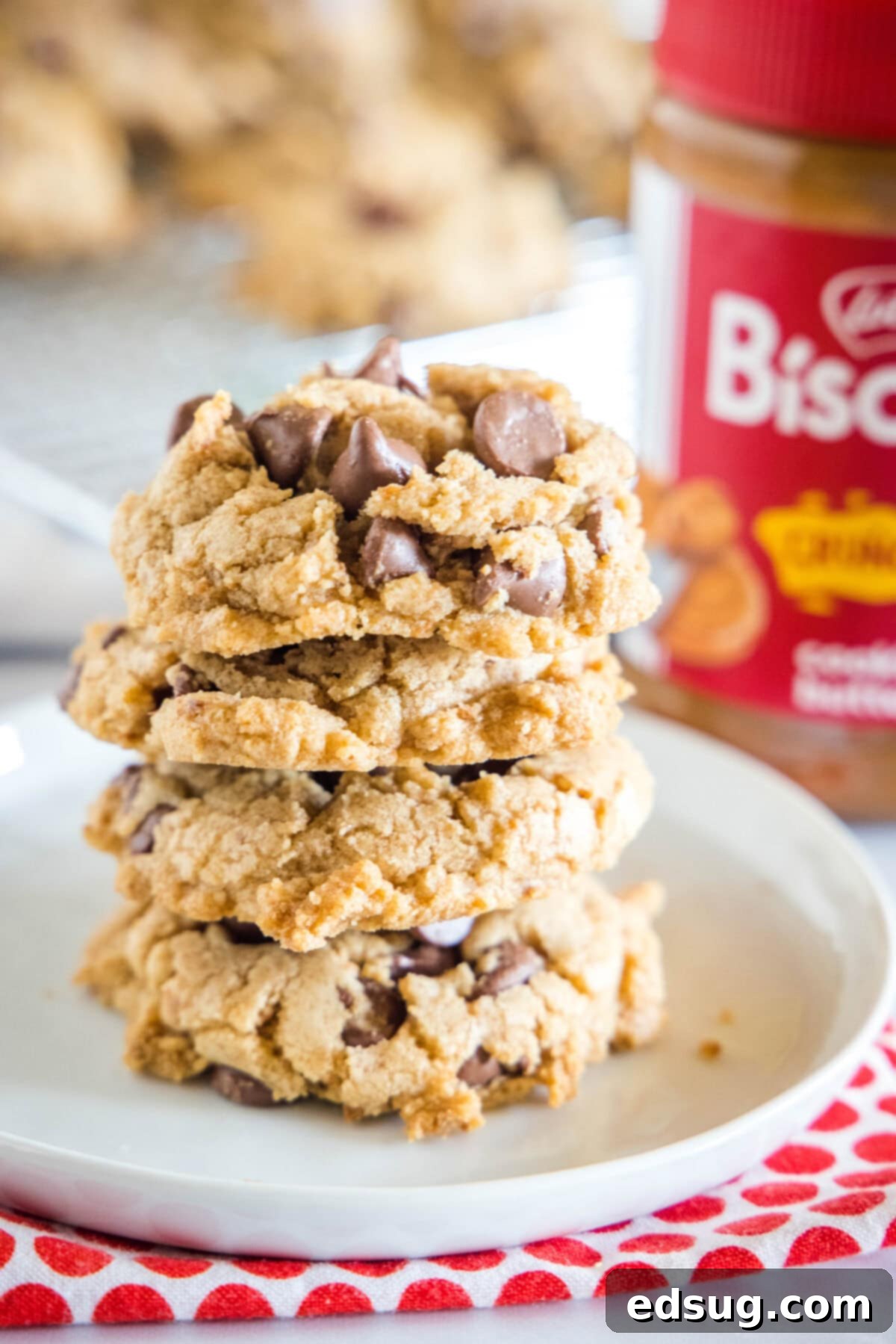 stacked biscoff chocolate chip cookies on a white plate, tempting and delicious