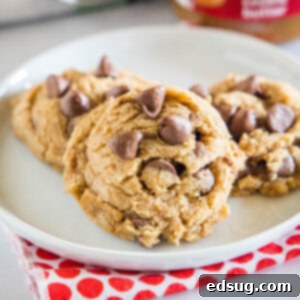 cropped close up biscoff chocolate chip cookies