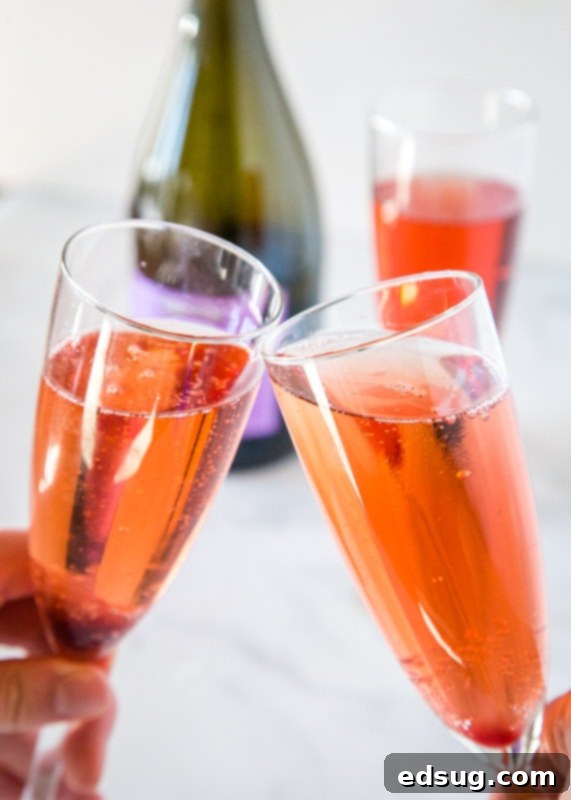 Garnet Pomegranate Sparkler 6 2 cpomegranate bellini glasses doing cheers