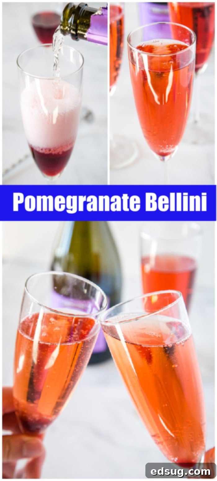 Garnet Pomegranate Sparkler 7 college of pomegranate bellini for pinterest