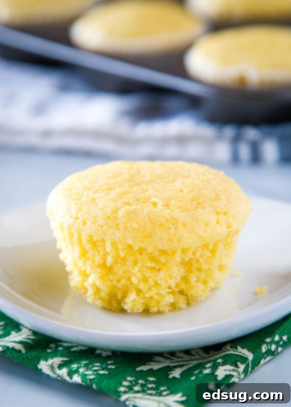 Golden Corn Delights 7 corn muffin on white plate