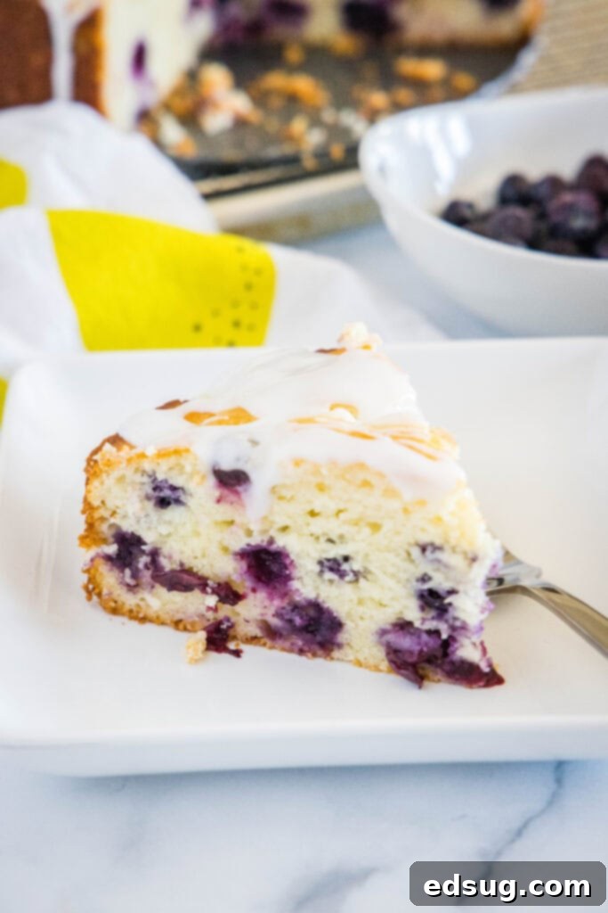 Looking down on a white plate with a perfectly sliced piece of Lemon Blueberry Cake, showcasing the moist interior and vibrant blueberries.