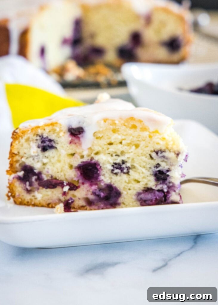 A beautiful slice of lemon blueberry cake on a simple white plate, ready to be enjoyed.