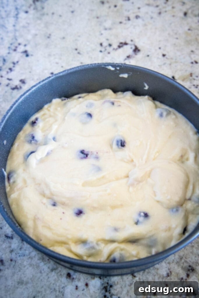 Cake batter smoothly poured into a 9-inch springform pan, ready for the oven.