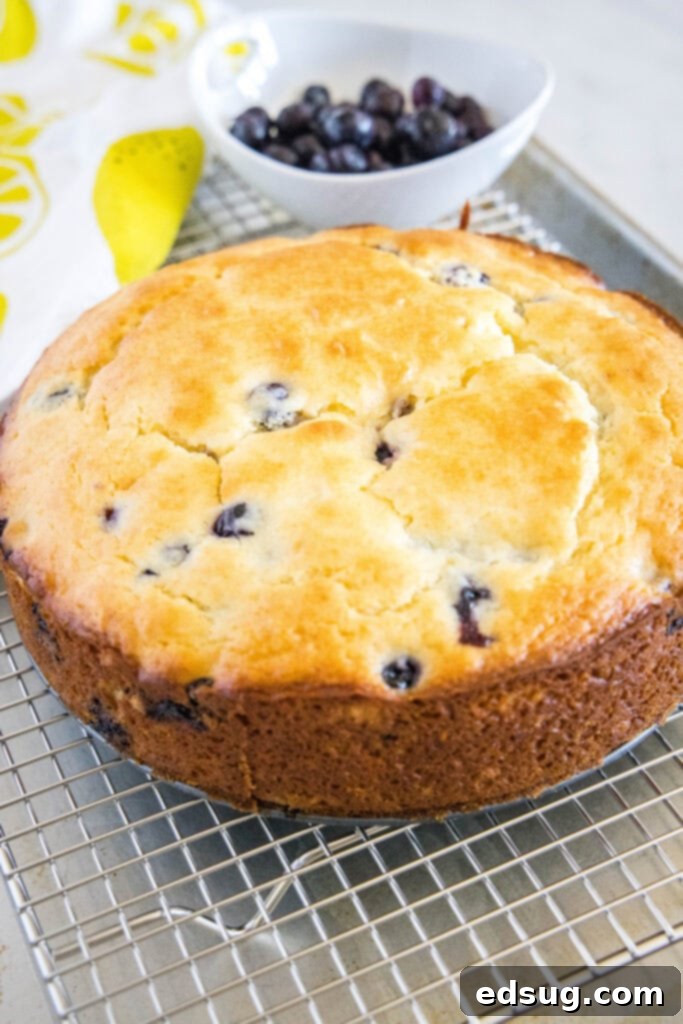 A freshly baked blueberry lemon cake cooling on a wire rack, steam gently rising.