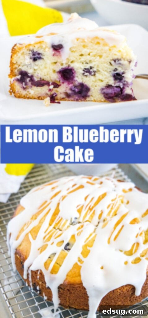 Close-up of a beautifully textured lemon blueberry cake, perfect for a Pinterest collage.