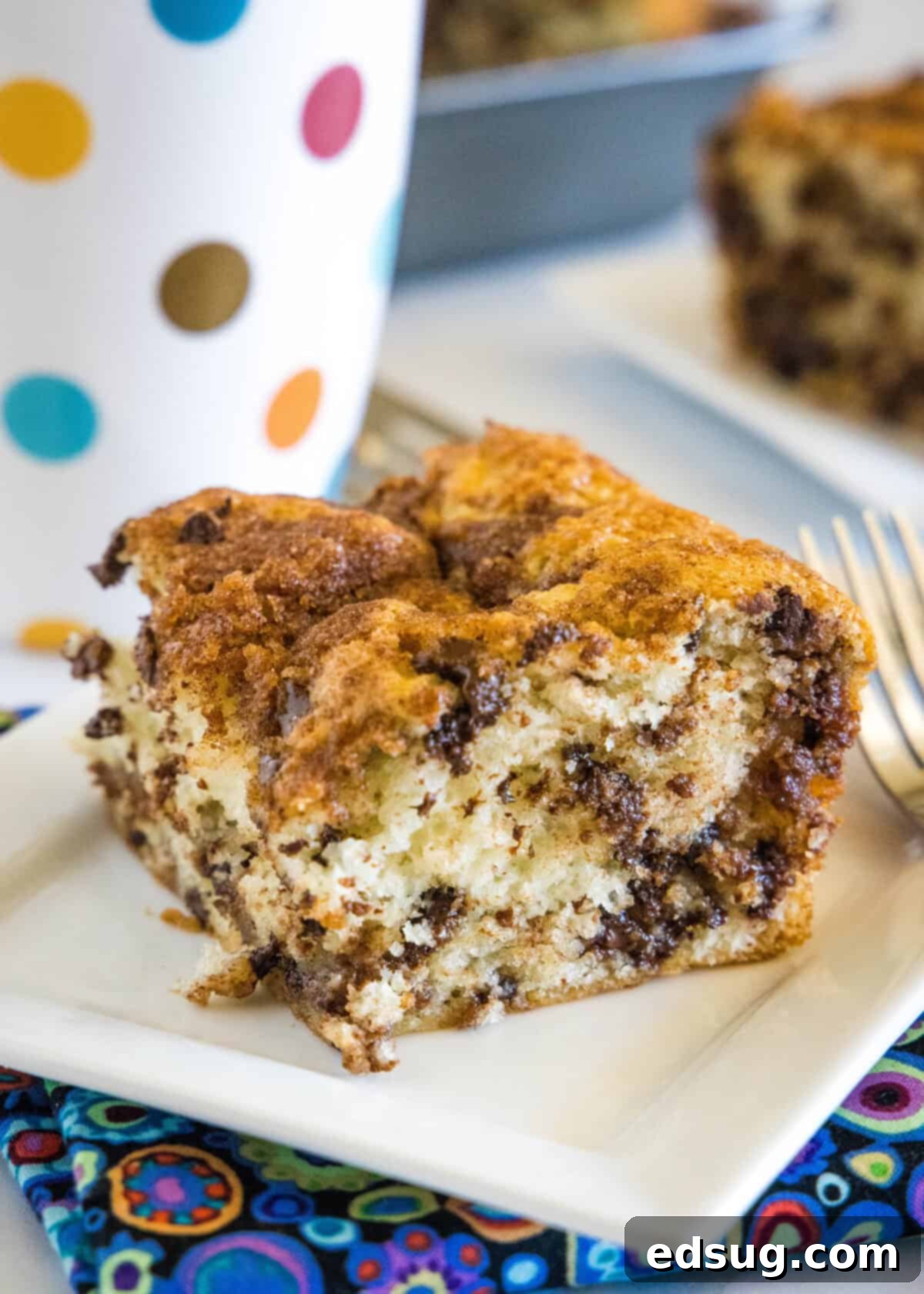 chocolate chip coffee cake on a white plate