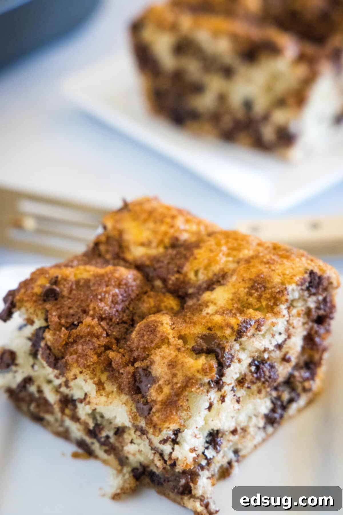 looking down on a plate with chocolate chip coffee cake
