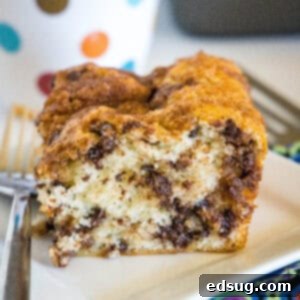 close up chocolate chip coffee cake on a plate