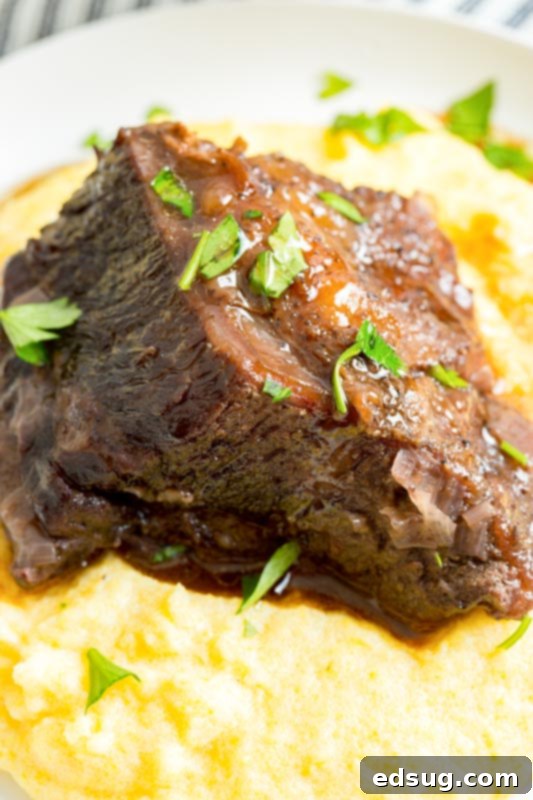Fork-Tender Red Wine Short Ribs 2 close up cooked beef rib sitting on polenta