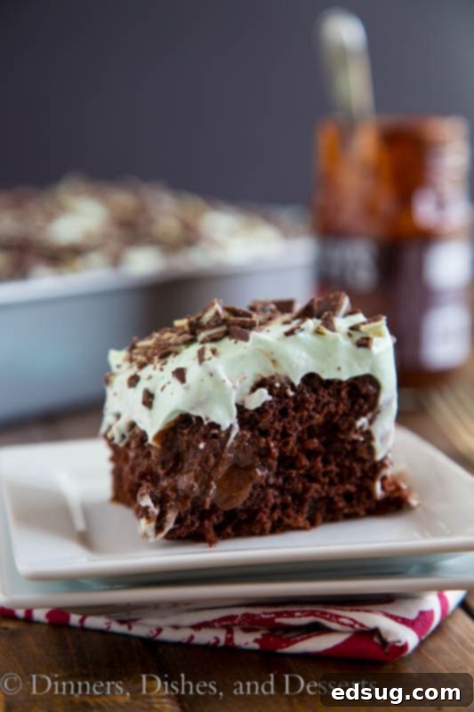 Individual serving of mint chocolate cake on a white plate