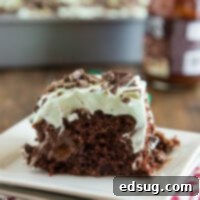 close up mint chocolate poke cake