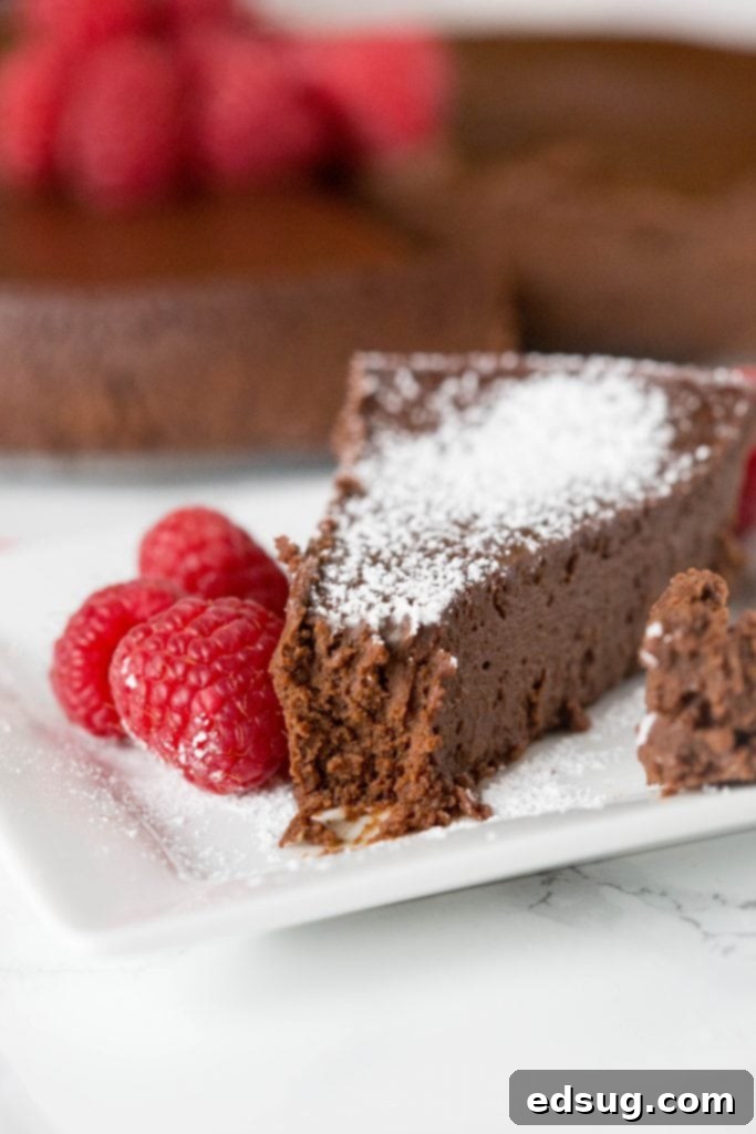 Flourless Chocolate Cake: A chocolate lover's dream with a rich, dense, chocolatey, and decadent flavor. Naturally gluten-free and made with just 3 ingredients! A slice of rich flourless chocolate cake with a bite taken out, showing its dense texture.