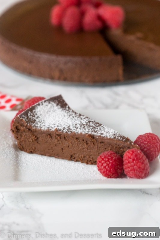Flourless Chocolate Cake - A chocolate lover's dream: rich, dense, chocolatey, decadent, naturally gluten-free, and just 3 ingredients! A perfectly sliced piece of flourless chocolate cake, showcasing its smooth, fudgy interior.
