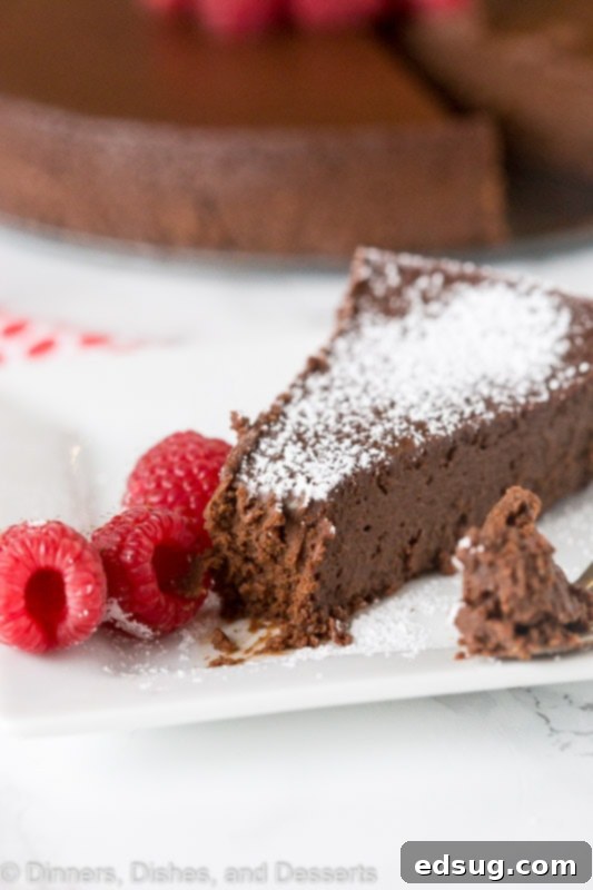 Flourless Chocolate Cake - A chocolate lover's dream: rich, dense, chocolatey, decadent, naturally gluten-free, and just 3 ingredients! Easy flourless chocolate cake generously garnished with fresh, vibrant berries.