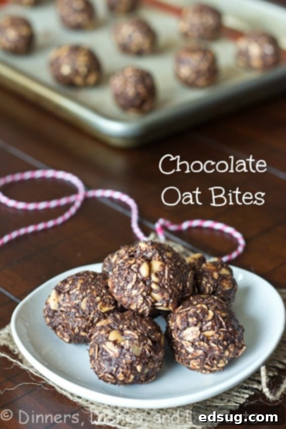 Delicious and healthy Chocolate Oat Bites, perfect for a quick snack or dessert.
