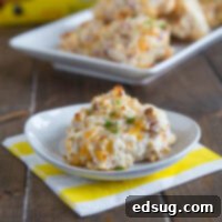 ham and cheese biscuits