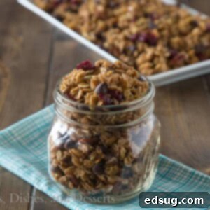 Honey-Kissed Granola with Cranberries and Toasted Pepitas 2 Honey Pumpkin Seed Granoal {Dinners, Dishes, and Desserts}