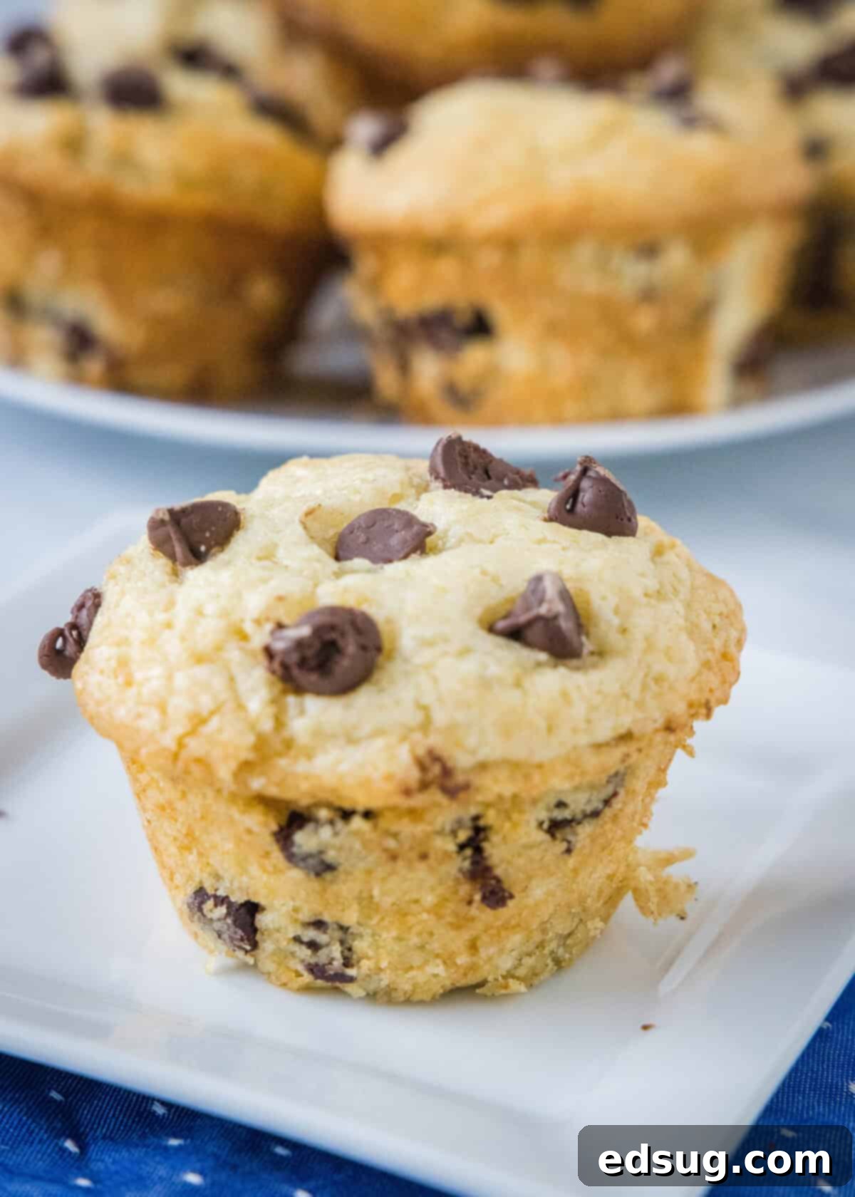 Irresistible Chocolate Chip Muffins 2 chocolate chip muffin on a white plate