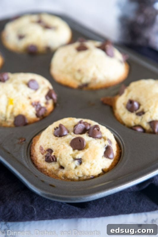 Irresistible Chocolate Chip Muffins 5 A close up of a plate of food, with Muffin and Chocolate