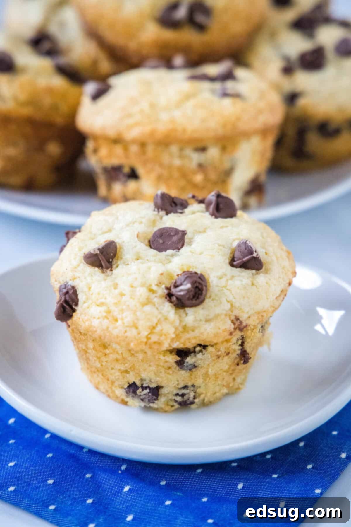 Irresistible Chocolate Chip Muffins 6 chocolate chip muffin on a white plate