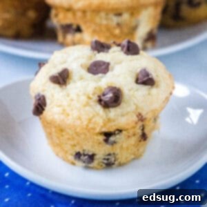 Irresistible Chocolate Chip Muffins 7 close up chocolate chip muffin on a white plate