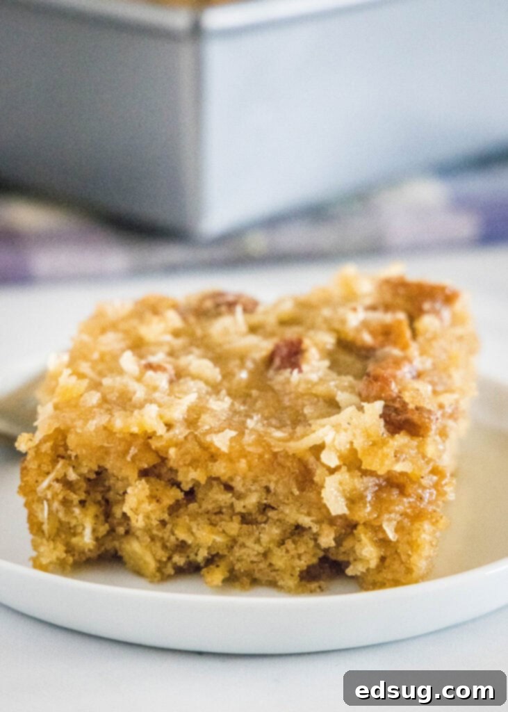 Warm Spiced Oat Bake 2 slice of oatmeal cake on a white plate, highlighting its moist texture and streusel topping