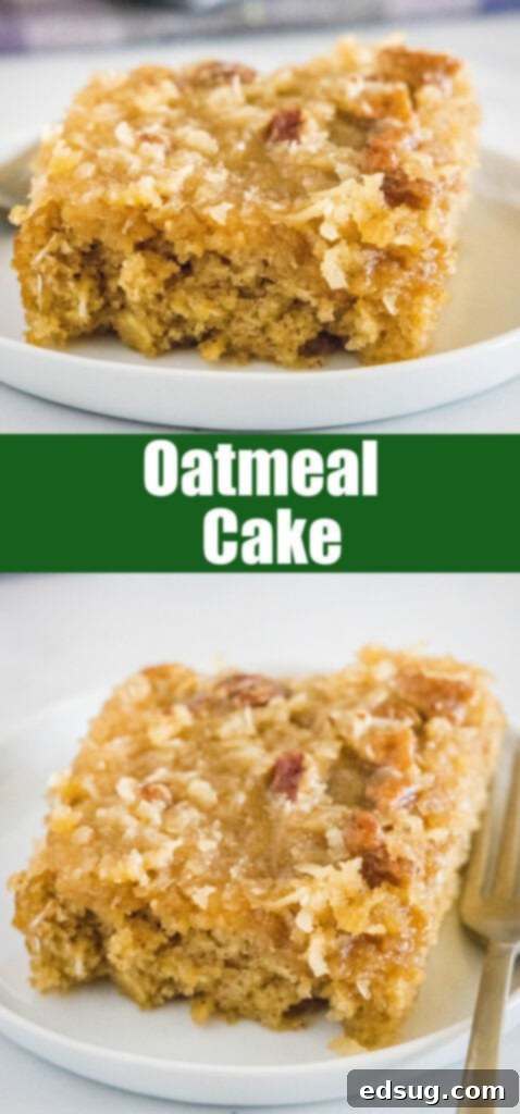 Warm Spiced Oat Bake 8 close up of a slice of oatmeal cake for pinterest